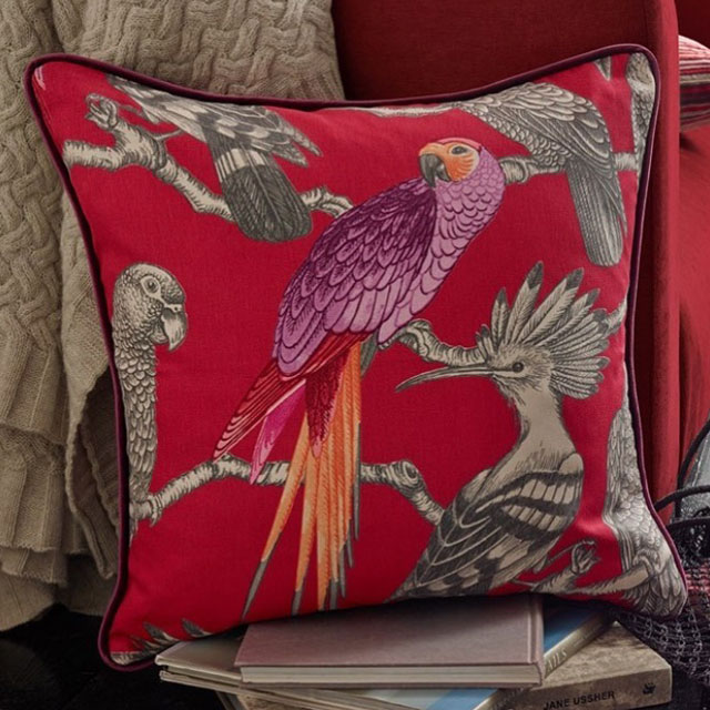 aviary cushion